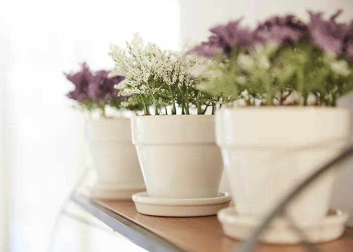 Feronia * Херсонісос